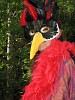 IMG_1111.JPG