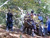 SV400087.JPG