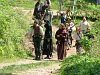 Peer_036.jpg